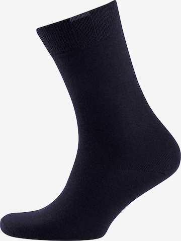 Nur Der Socks in Black: front