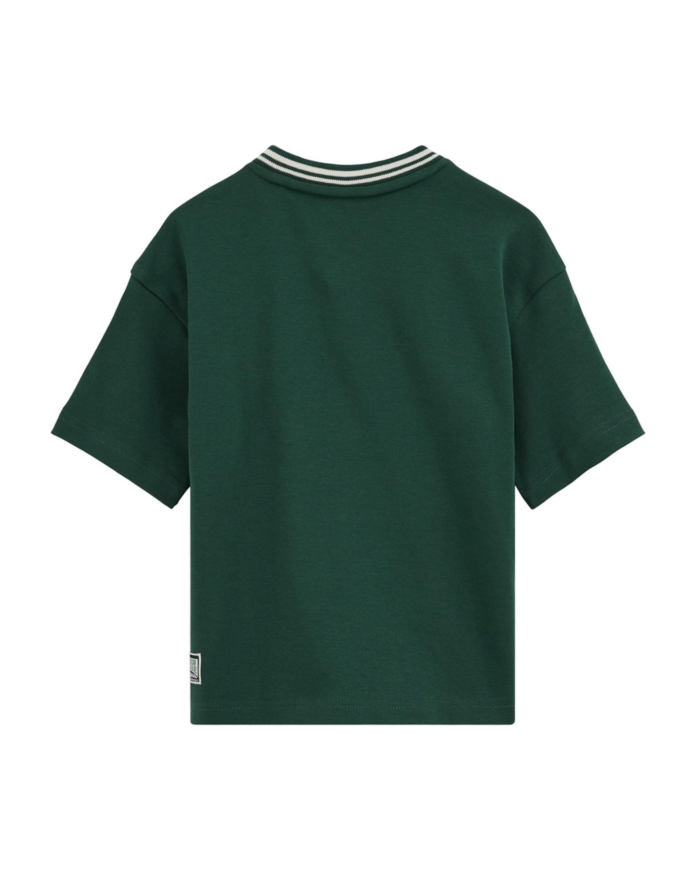 WE Fashion Majica | zelena barva