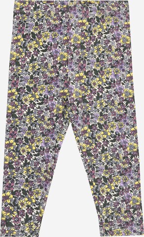 The New Leggings 'BRUIT' in Mixed colors: front