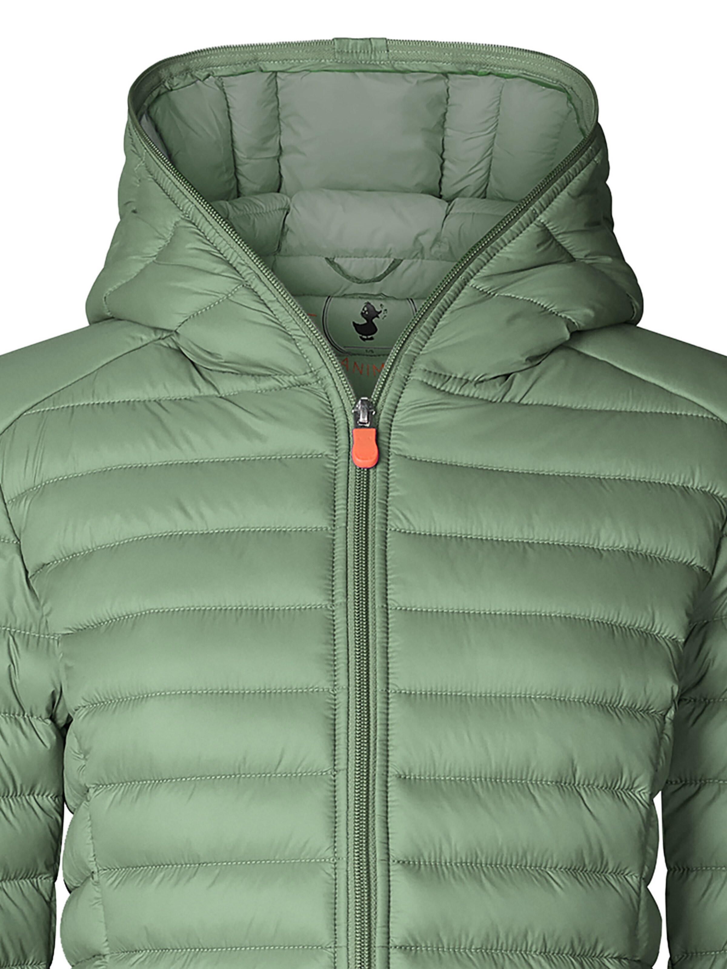 SAVE THE DUCK Funktionsjacke 'Daisy' in Grün