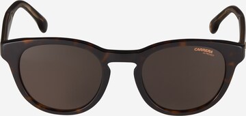 Carrera - Gafas de sol '252/S' en marrón