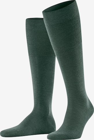 FALKE Knee High Socks 'Airport' in Green: front
