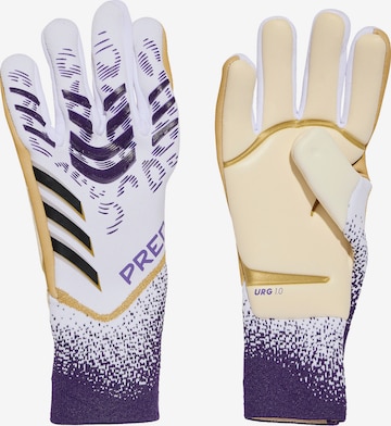 ADIDAS PERFORMANCE Sporthandschuhe 'Predator Pro' in Weiß: Vorderseite