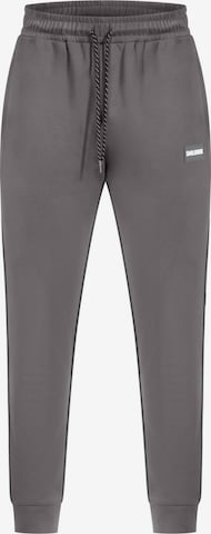 Smilodox Pants 'Suit Pro' in Grey: front