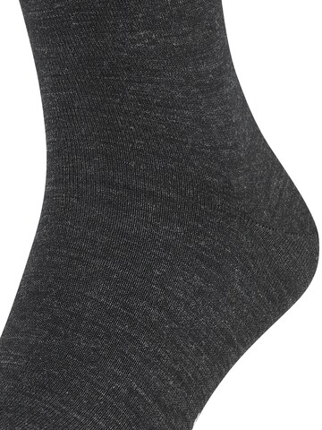 FALKE Socks in Grey