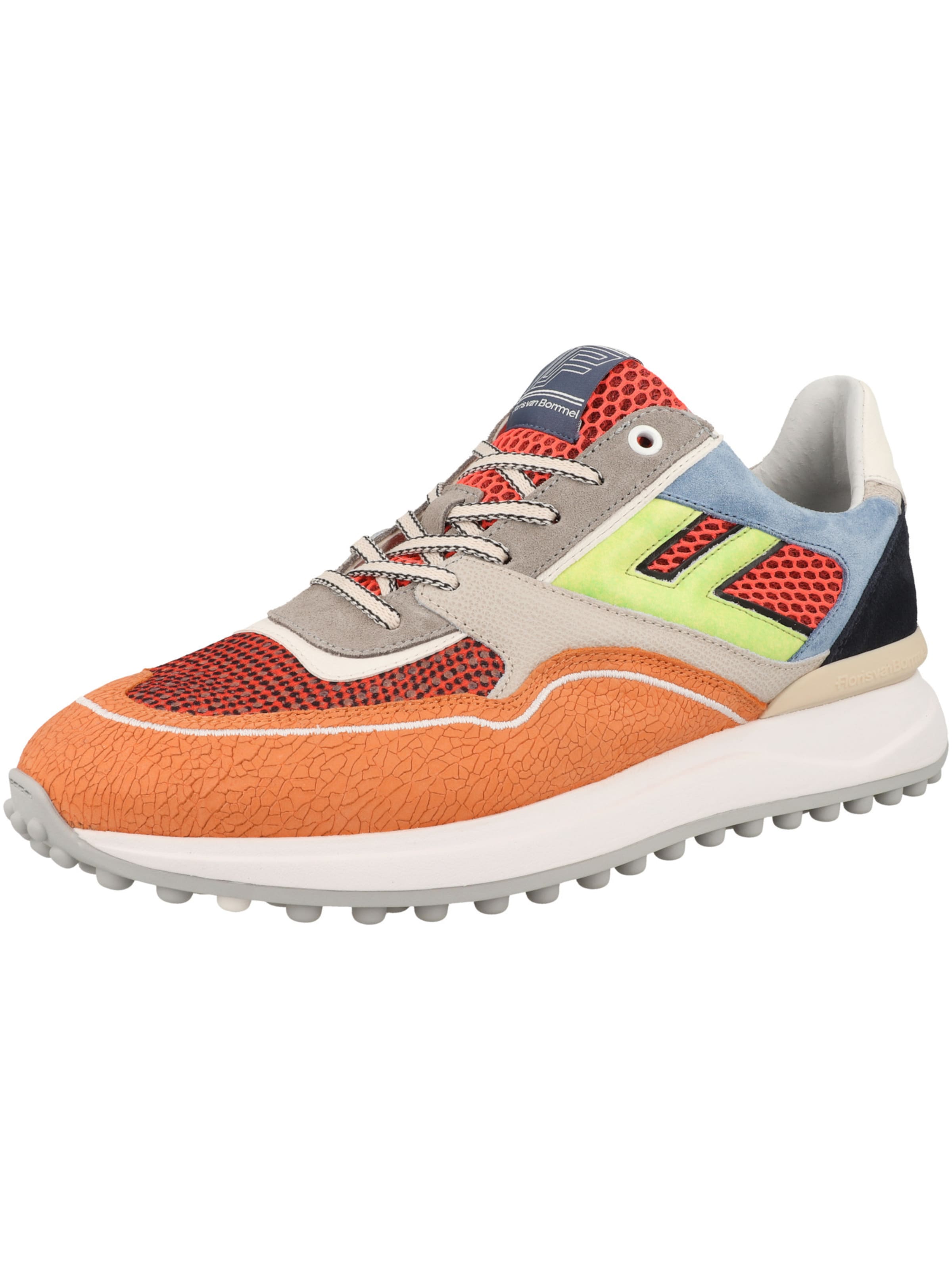 Baskets basses 'Noppi 29.32' Floris van Bommel en mélange de couleurs : devant