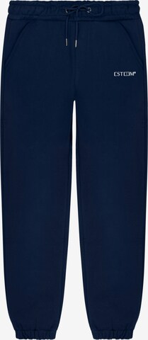 ESTEEM Jogger in Blau: Vorderseite