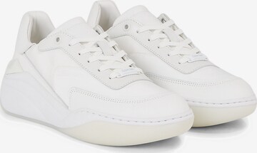 Baskets basses Calvin Klein en blanc