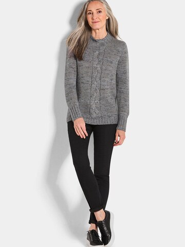 Pull-over Goldner en gris
