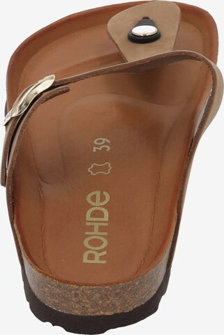 ROHDE T-Bar Sandals '5642' in Brown