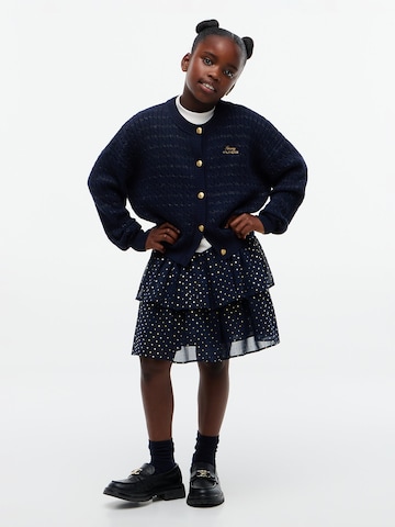 TOMMY HILFIGER Krilo | modra barva
