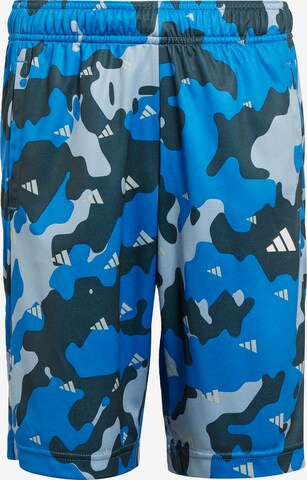 ADIDAS SPORTSWEAR Regular Workout Pants in Blue: front