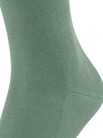 FALKE Socks 'Family' in Green
