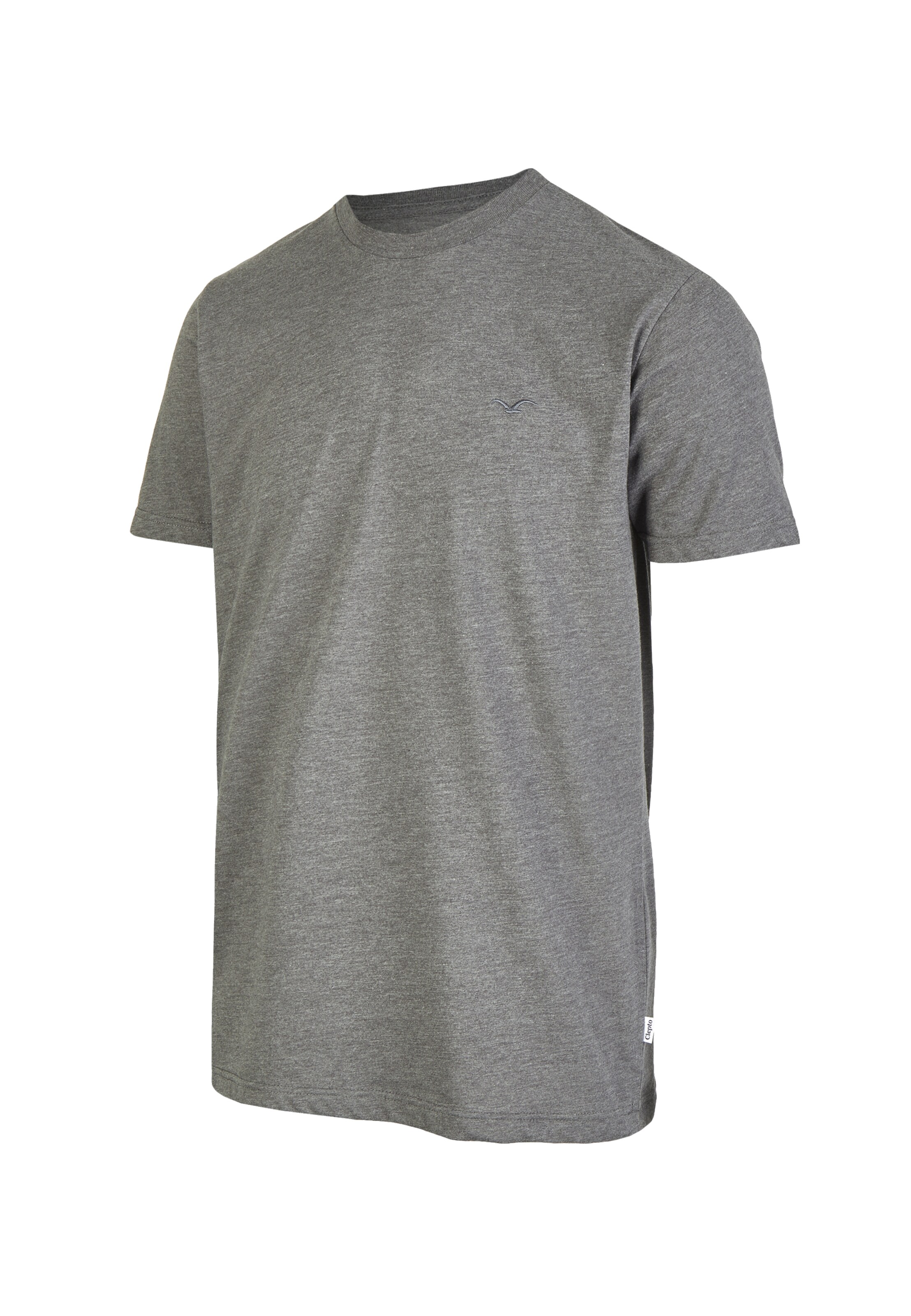 Cleptomanicx T-Shirt in Grau
