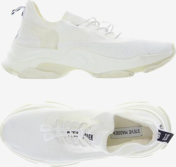 STEVE MADDEN Sneakers & Trainers in 39 in White: front
