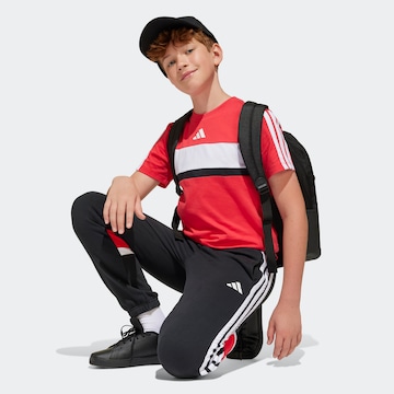 ADIDAS SPORTSWEAR Regular Pants in Black