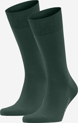 Chaussettes FALKE en vert : devant