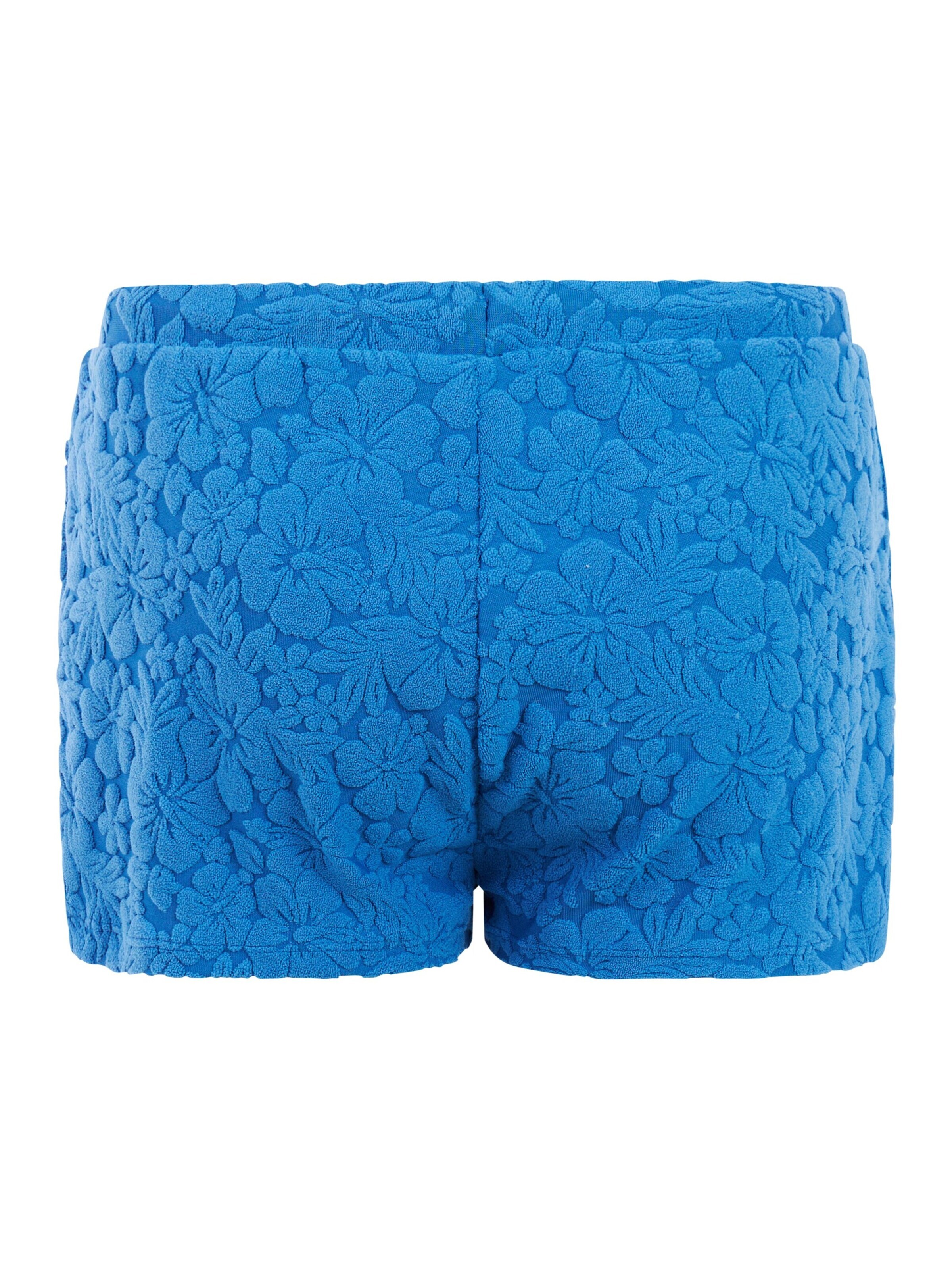 PROTEST Sports swimwear 'PRTTeddy JR' in Blue