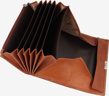 Esquire Wallet 'Dallas' in Brown