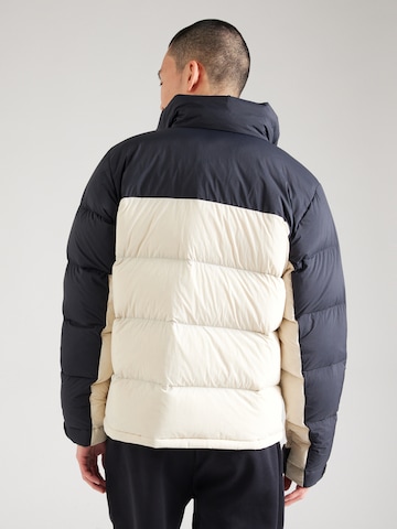 Veste outdoor COLUMBIA en gris