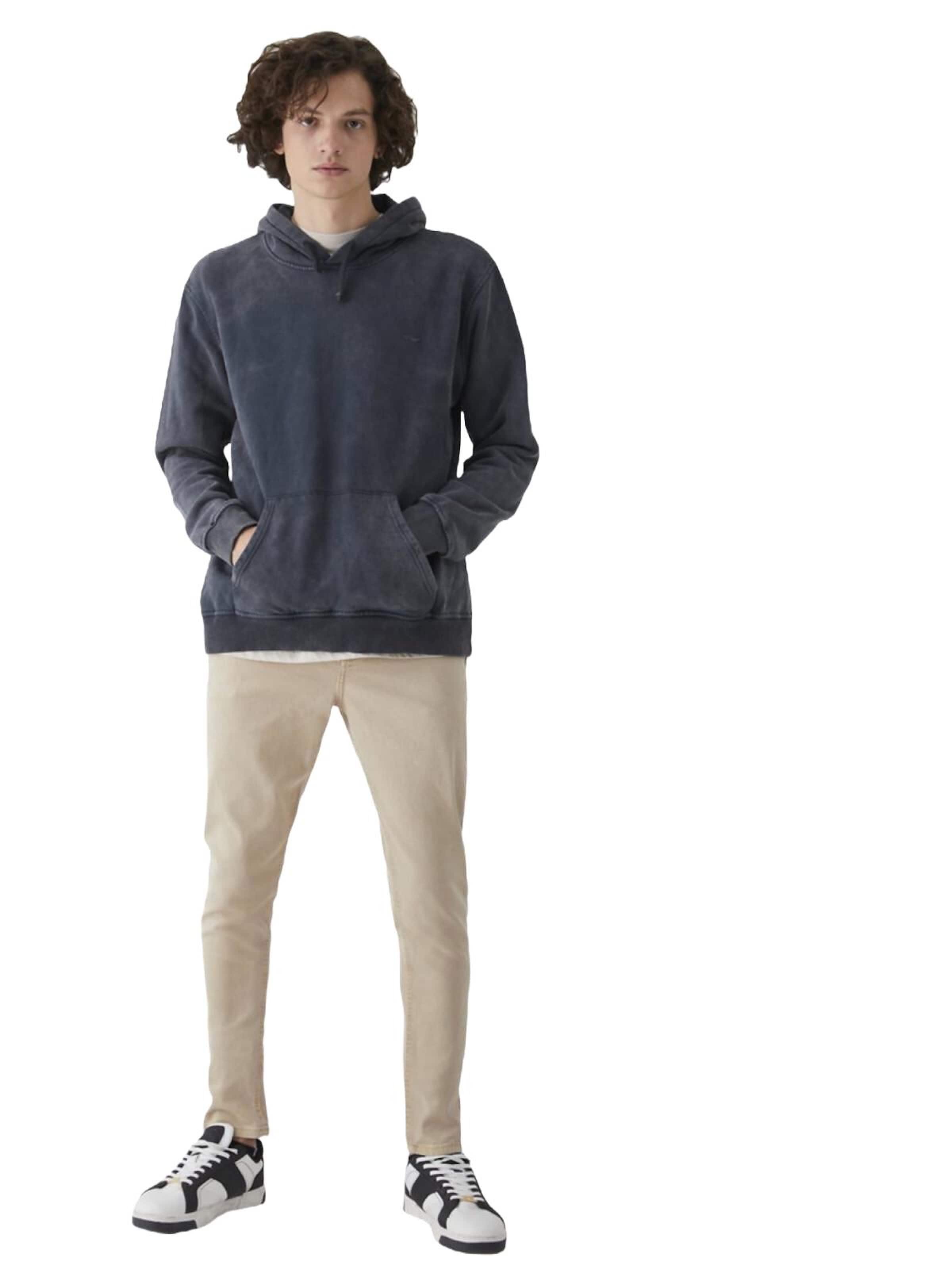LTB Jeans - Sudadera 'LTB Jeans Herren Basic Sweatshirt' en gris