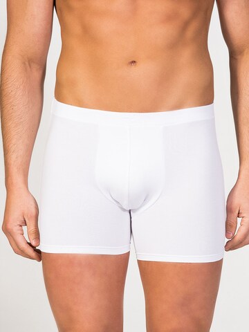 zd ZERO DEFECTS Boxer shorts 'Breno MicroModal® Boxer' in White: front