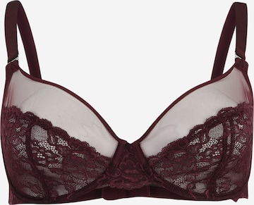 Lindex Triangle Bra 'Aster' in Purple: front