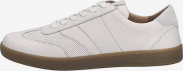 JOSEF SEIBEL Sneaker 'LIO 05' in Grau: Vorderseite