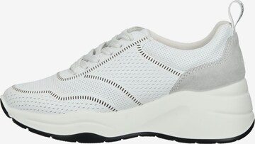 IGI&CO Sneakers in White