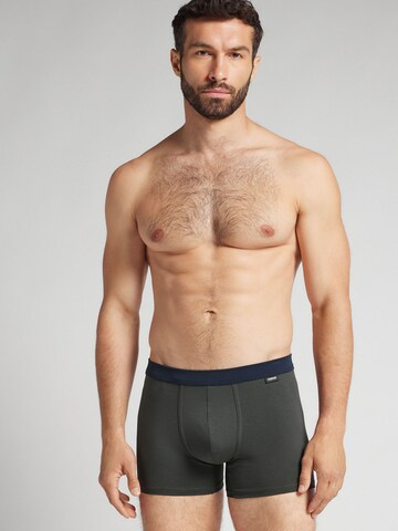 INTIMISSIMI Boxershorts in Grün