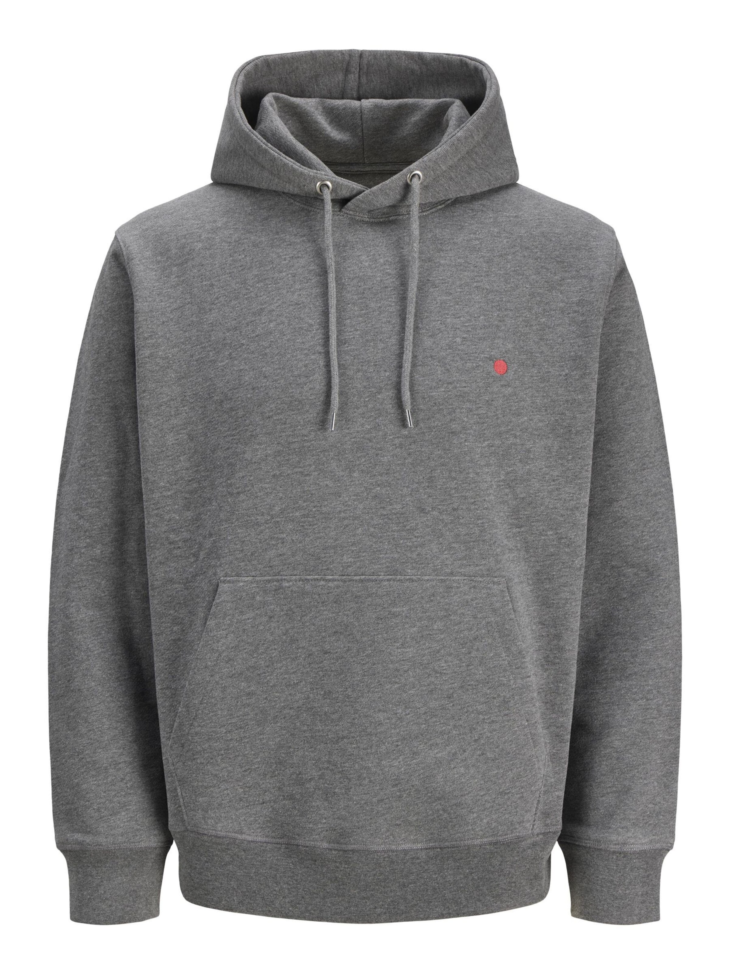 R.D.D. ROYAL DENIM DIVISION Sweatshirt 'RDDKALID' in Grijs: voorkant