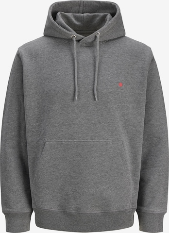 Sweat-shirt 'RDDKALID' R.D.D. ROYAL DENIM DIVISION en gris : devant