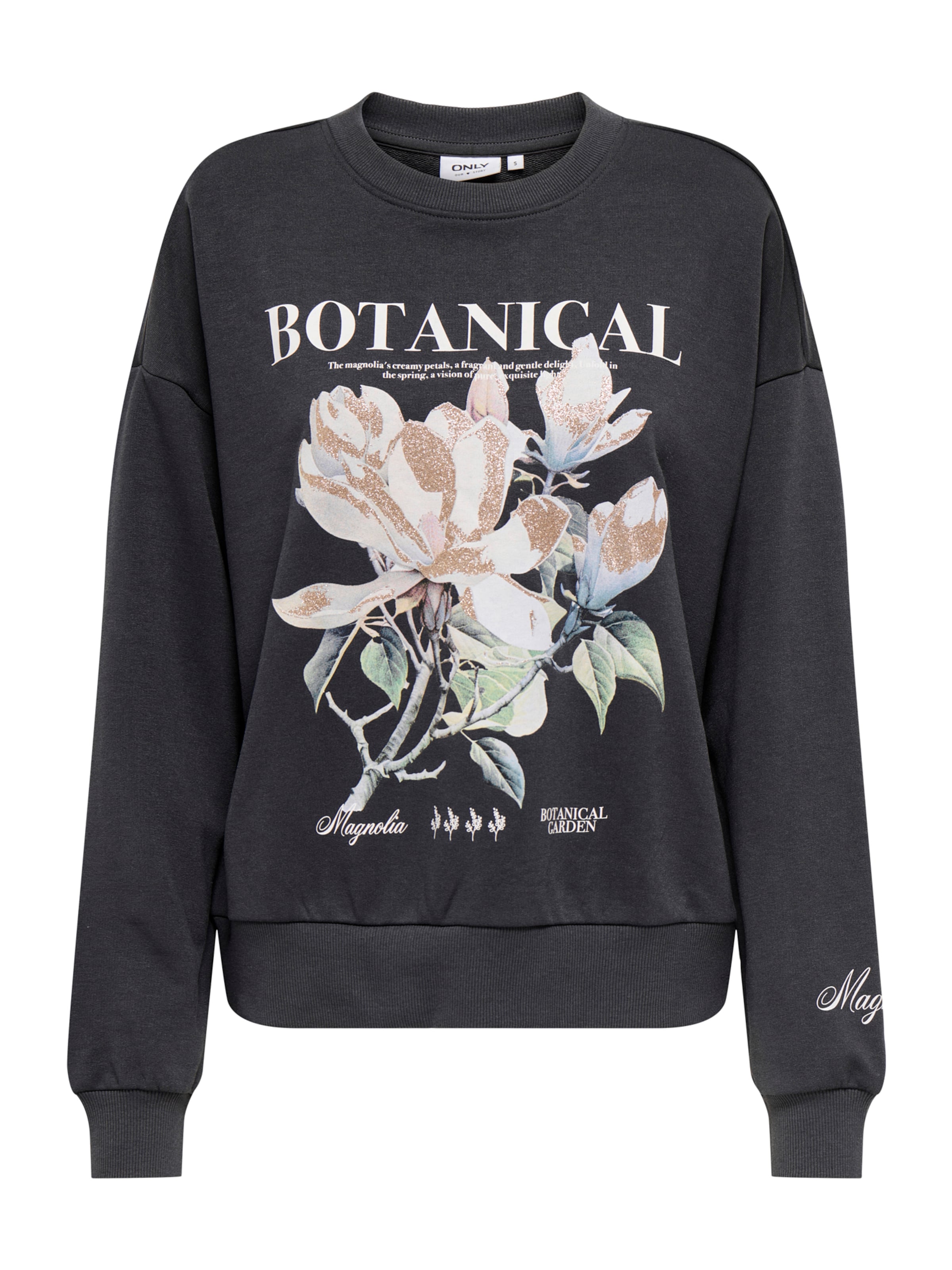 ONLY Sweatshirt 'ONLFLEUR' in Grau: Vorderseite