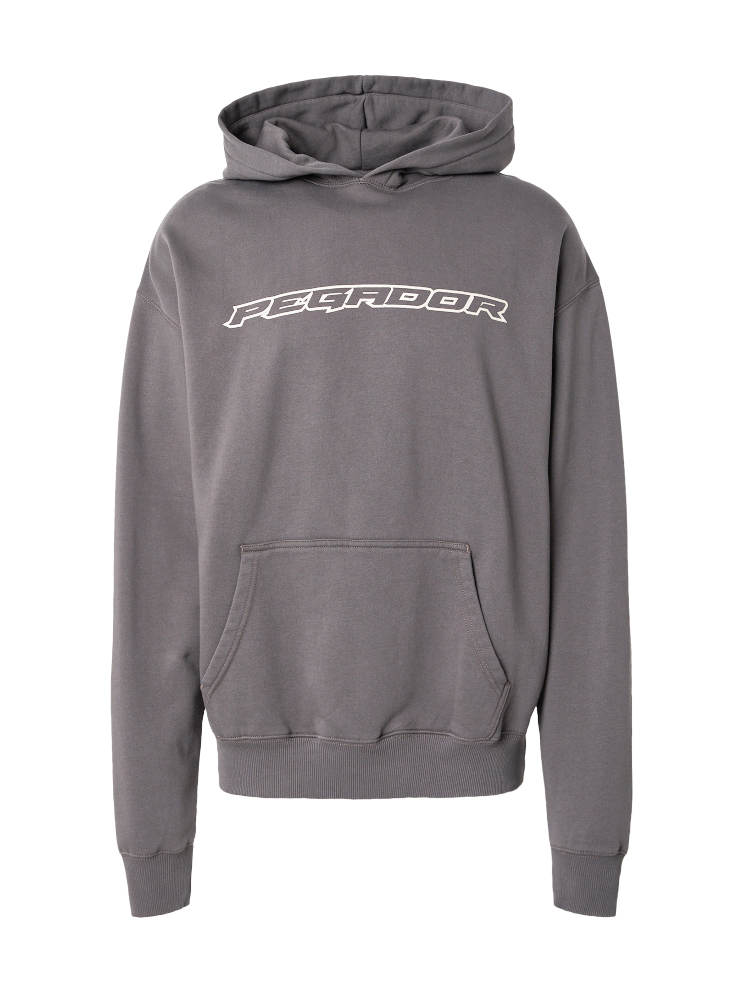pelēks Pegador Sportisks džemperis 'ALDEN': no priekšpuses