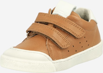 Froddo Sneaker 'ROSARIO' i brun: framsida