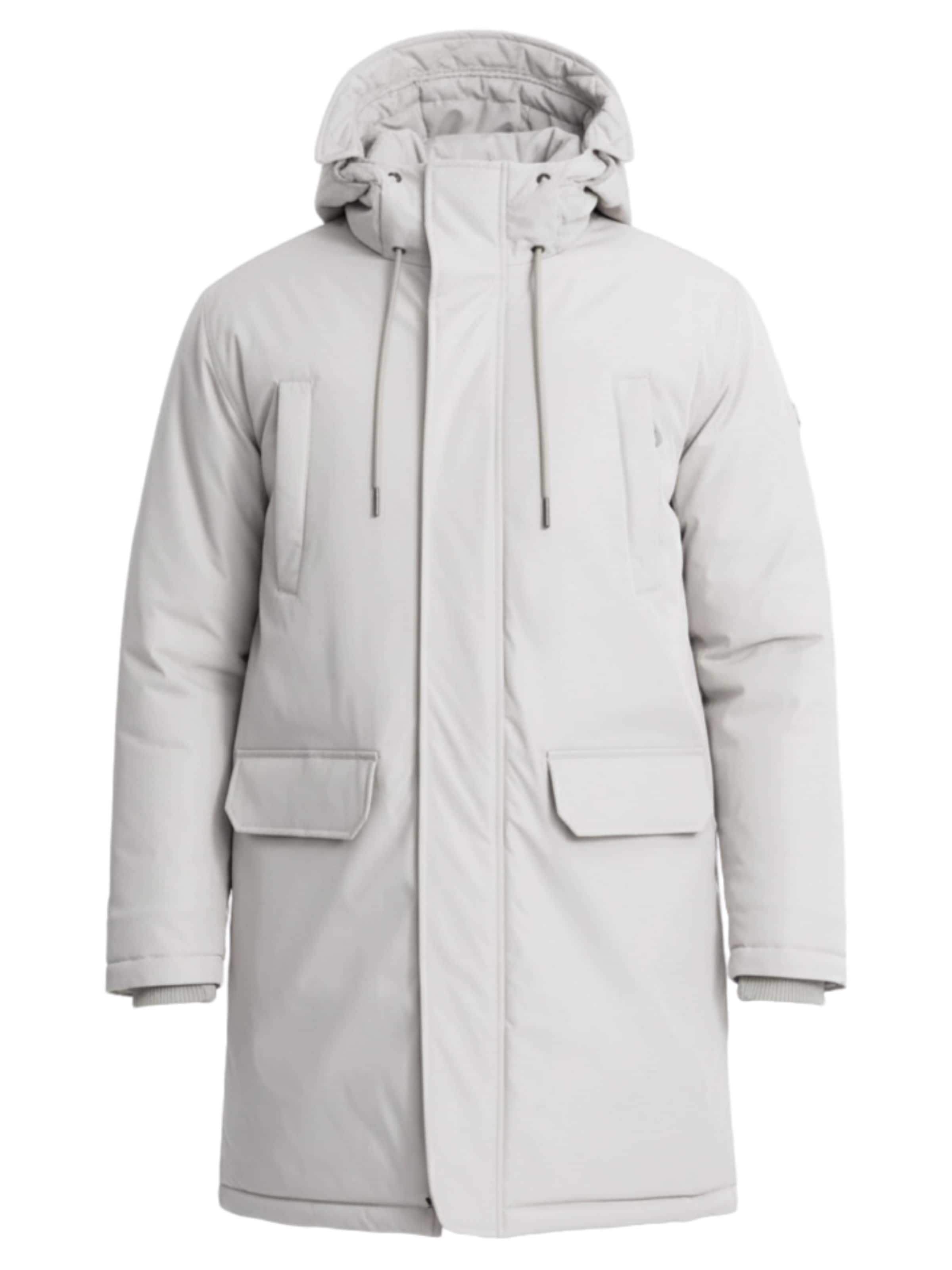 Ombre Winterjas in Grijs: voorkant