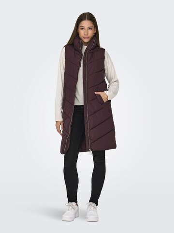 Gilet 'Finno' JDY en marron