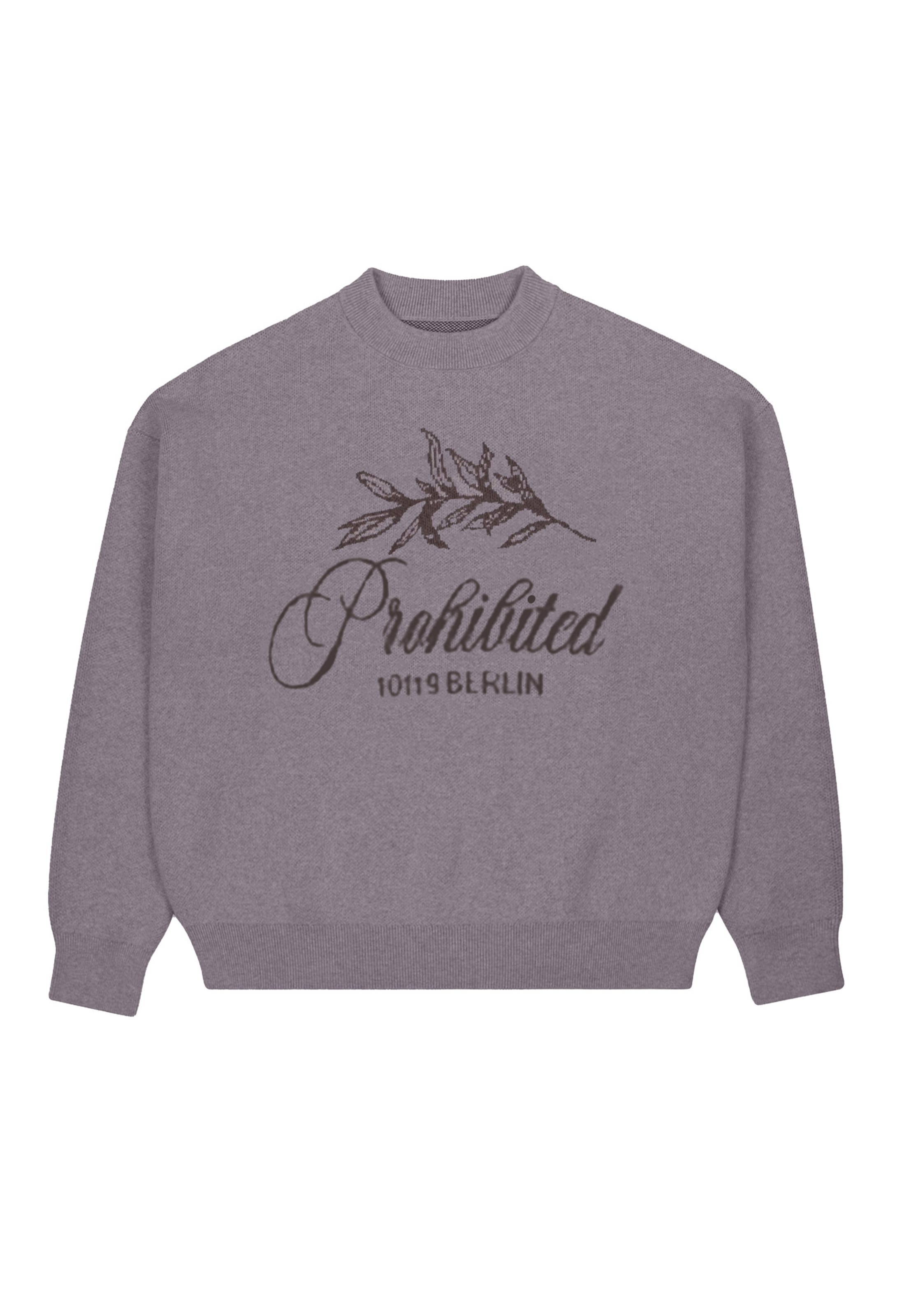 Pull-over Prohibited en gris : devant