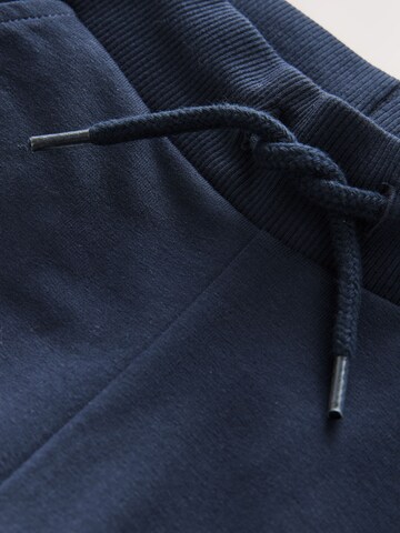 Next Regular Trousers in Blue