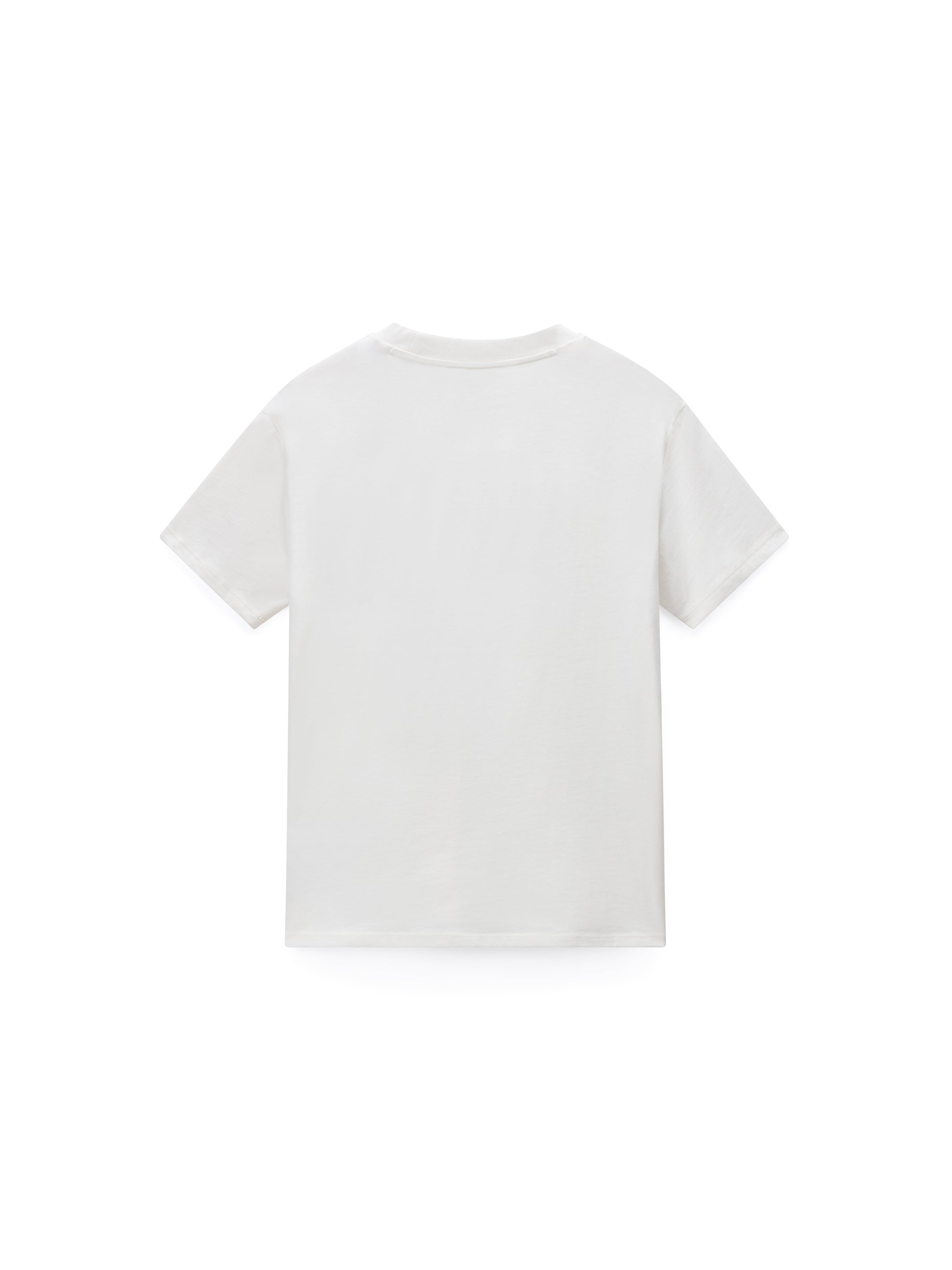 NAPAPIJRI T-shirt 'S-ANTINONY SS W' i brun