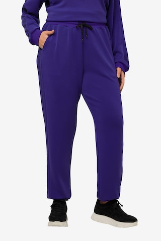 Ulla Popken Tapered Pants in Purple: front