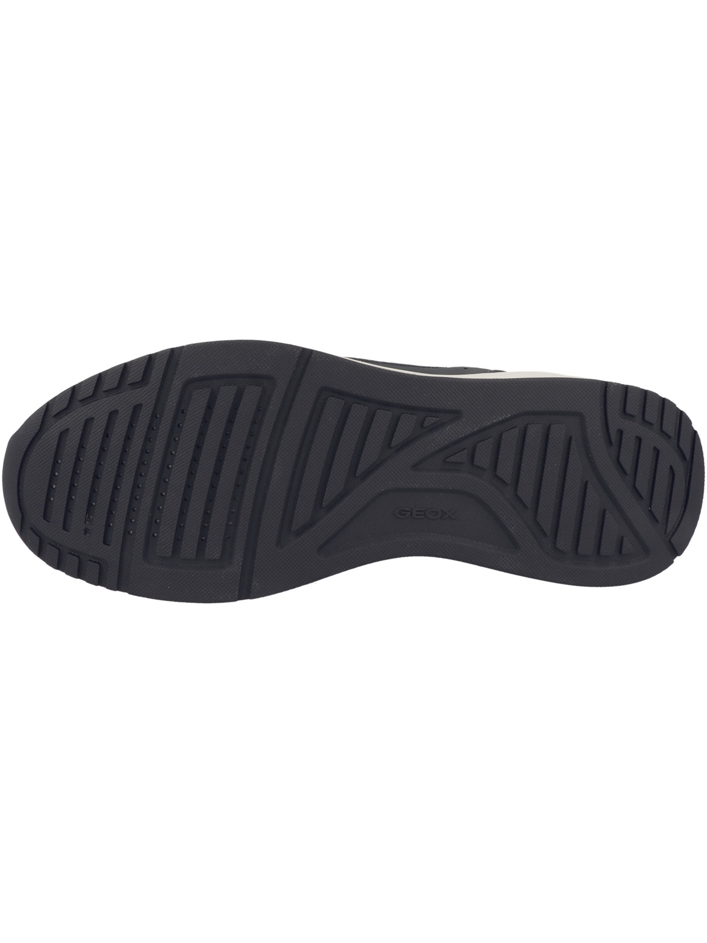 Baskets basses ' U Branthon B ' GEOX en noir
