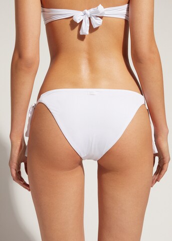 CALZEDONIA Bikini Bottoms in White