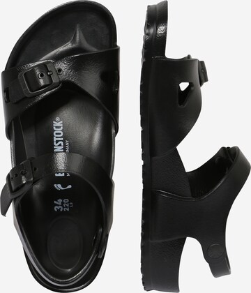 Sandales 'Rio' BIRKENSTOCK en noir