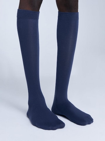 Albero Natur Knee High Socks in Blue