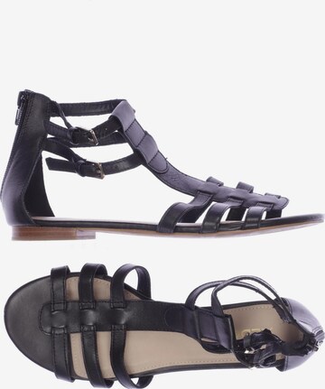 ALDO Sandals & High-Heeled Sandals in 37,5 in Black: front