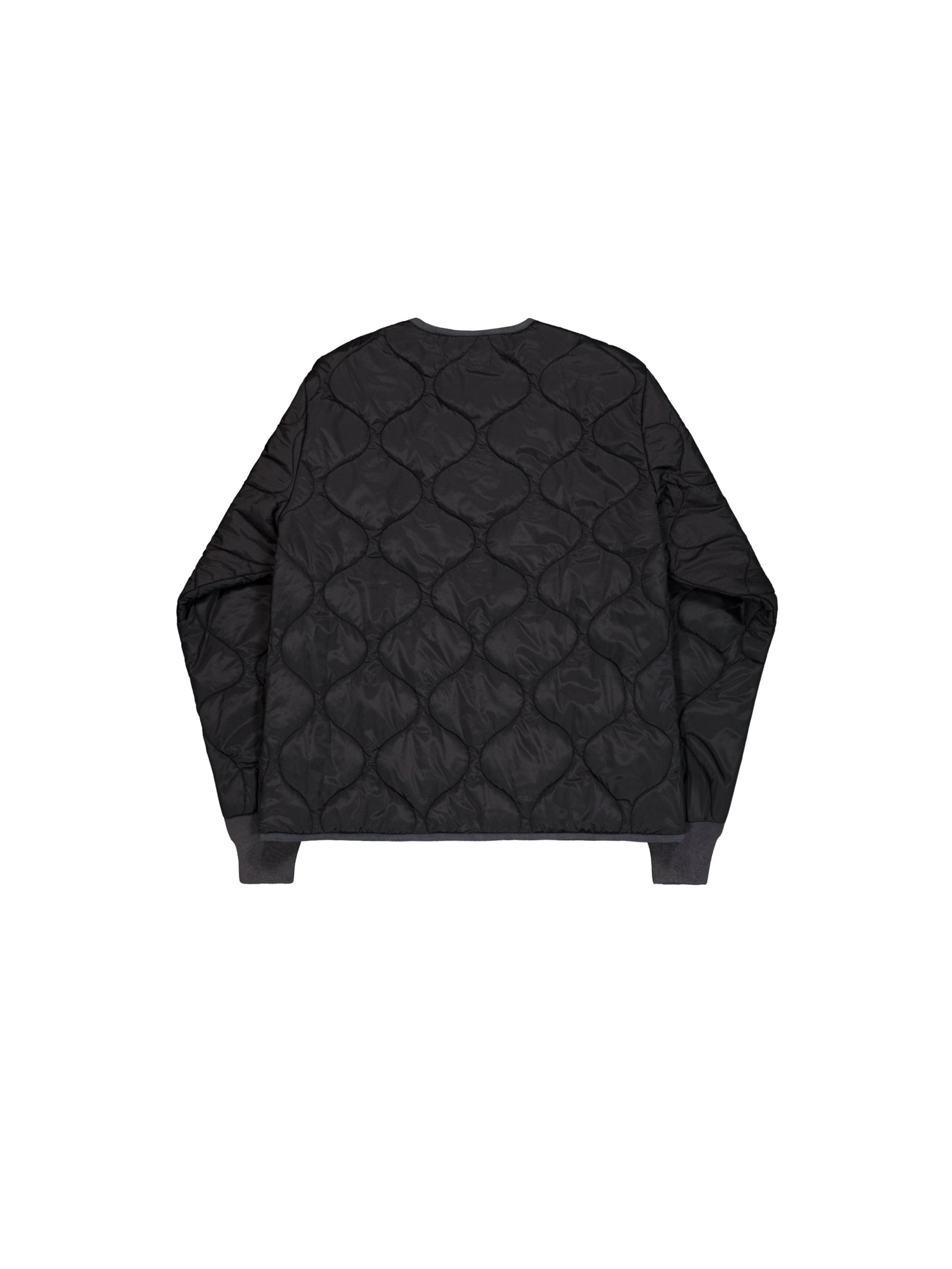 ALPHA INDUSTRIES Jacke 'Q-1' in Schwarz: Rückseite