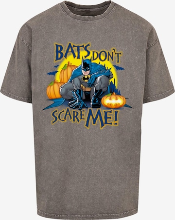 ABSOLUTE CULT Shirt 'Batman - Bats Don't Scare Me' in Grau: predná strana