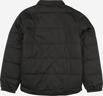 Veste outdoor THE NORTH FACE en gris