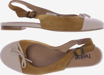 heine Sandals & High-Heeled Sandals in 36 in Brown: front